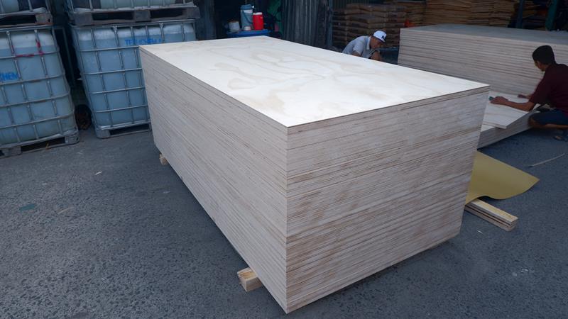 Ván ép phủ mặt Thông